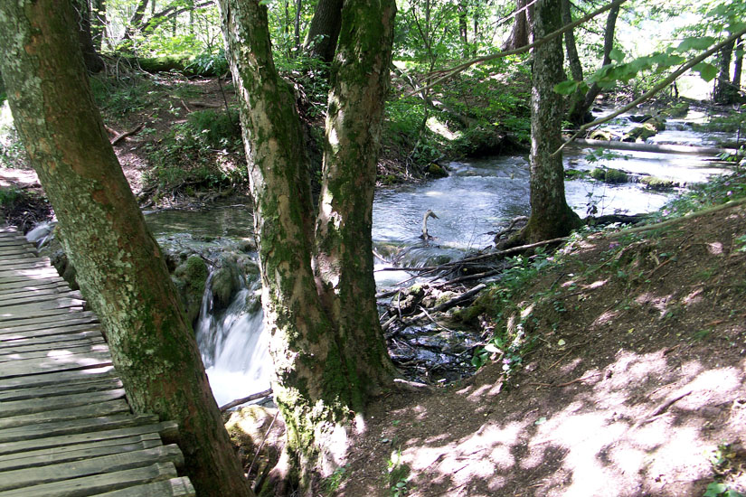 Obraz 042
